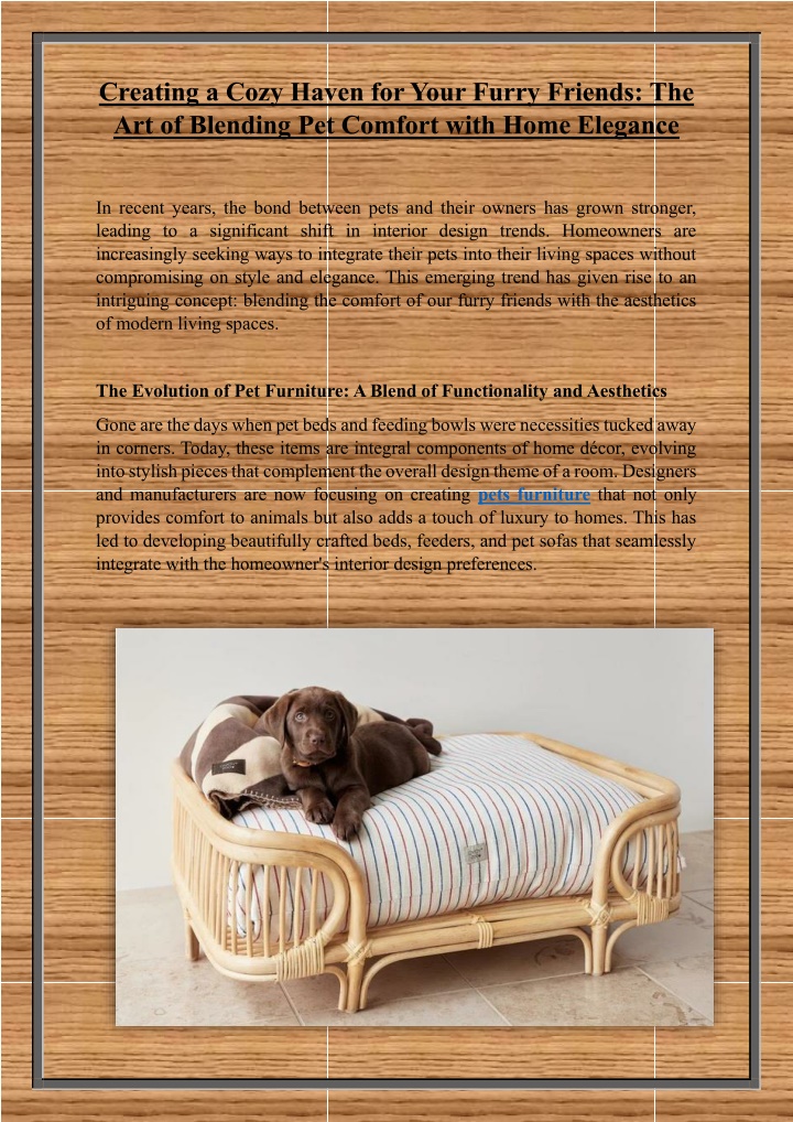 creating a cozy haven for your furry friends n.w