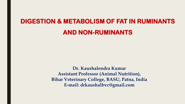 Fat Digestion and Metabolism in Ruminants and Non-Ruminants