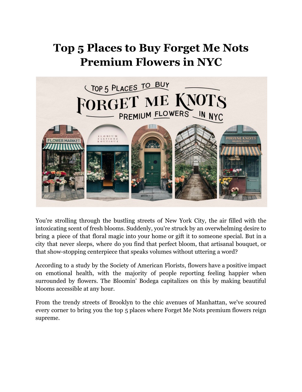 top 5 places to buy forget me nots premium l.w