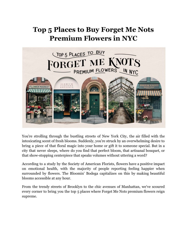 top 5 places to buy forget me nots premium n.w