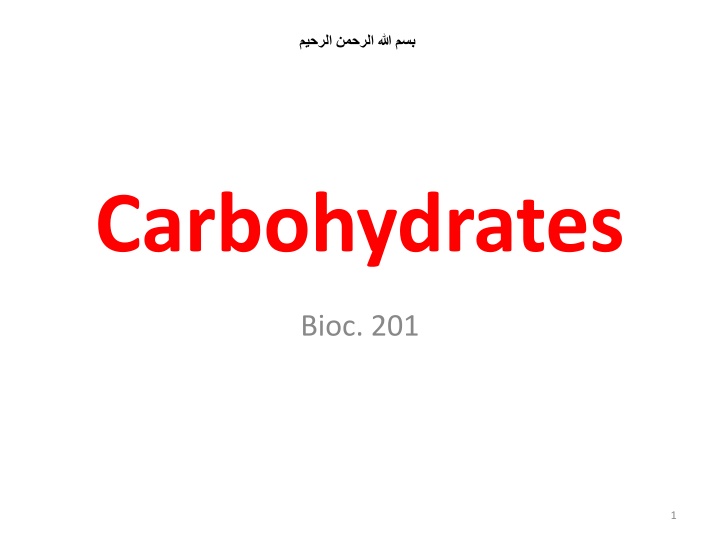Carbohydrates: Essential Organic Molecules in Nature