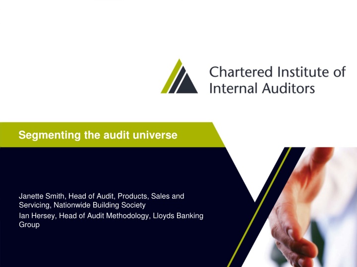 Effective Audit Universe Segmentation for Risk Assessment and Prioritization