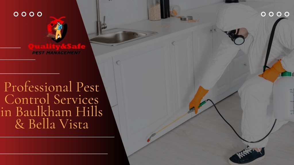 professional pest control services in baulkham l.w