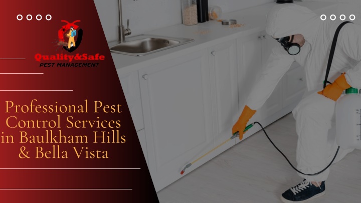 professional pest control services in baulkham n.w