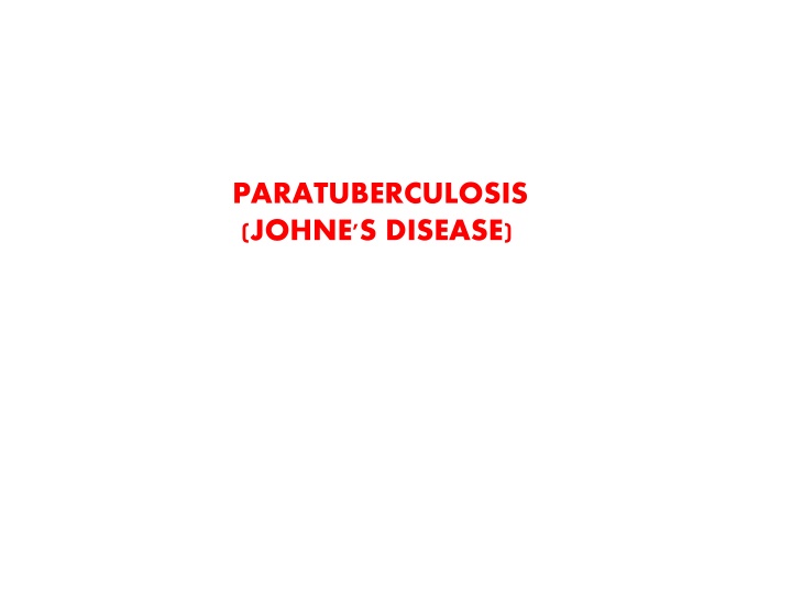 Paratuberculosis (Johne's Disease) in Animals