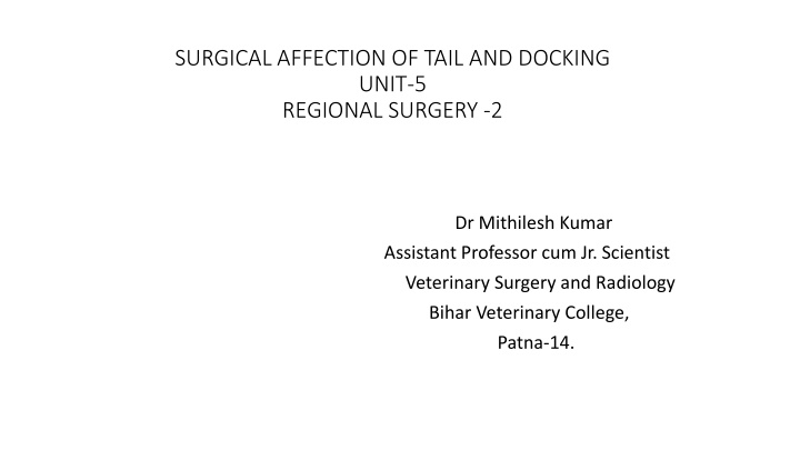 Surgical Affection of Tail and Docking - Regional Surgery Insights