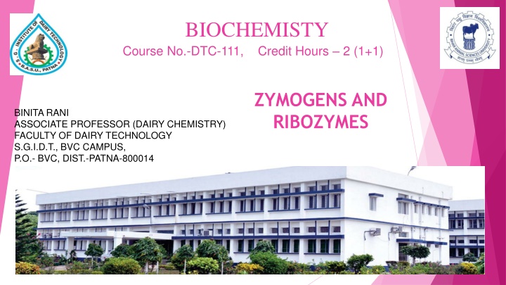 Zymogens and Ribozymes: An Overview of Inactive Enzyme Precursors