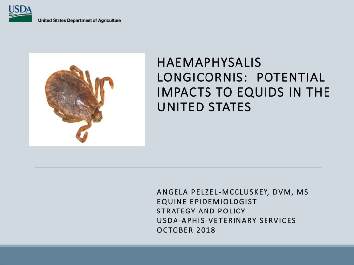 Potential Impacts of Haemaphysalis longicornis on Equids in the United States