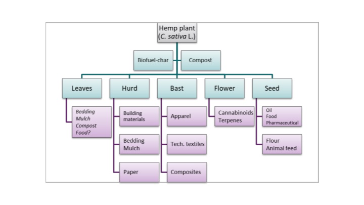 Global Hemp Production and Yields Analysis