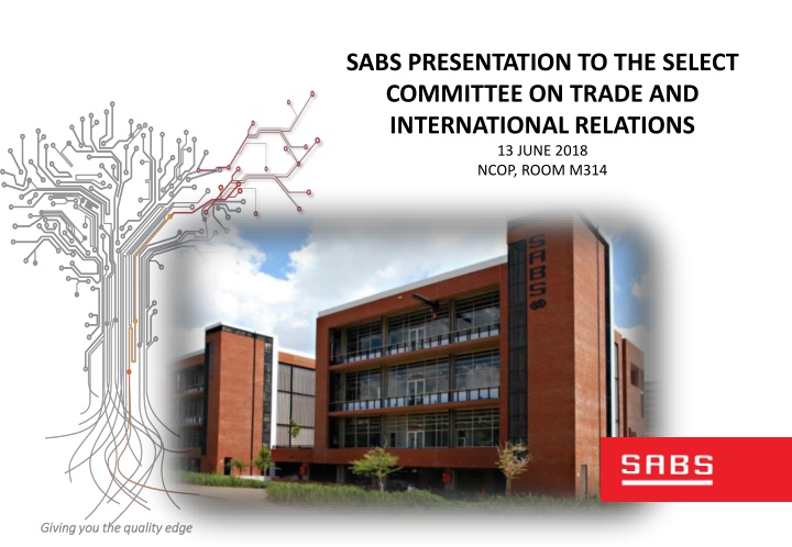 Overview of South African Bureau of Standards (SABS)