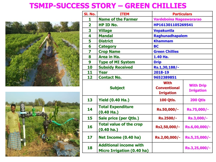 Micro Irrigation Success Stories: Green Chillies, Chrysanthemum, Marigold, Cabbage