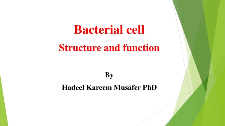 Bacterial Cell Structure and Function