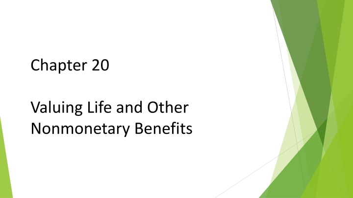 Valuing Life and Nonmonetary Benefits: Approaches and Policy Evaluation