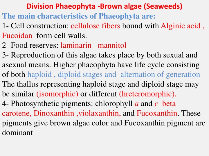 Characteristics of Phaeophyta - Brown Algae (Seaweeds)