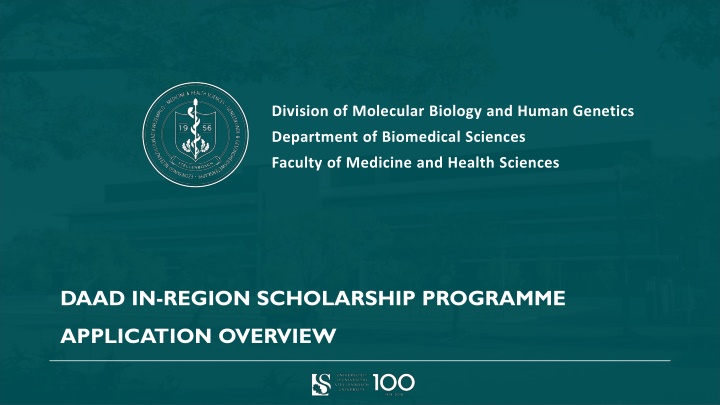 DAAD In-Region Scholarship Programme Overview