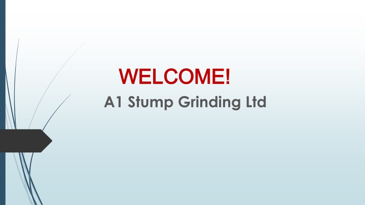 Best Stump Removal Services in Waiau Pa