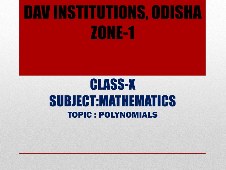 Polynomials in Mathematics