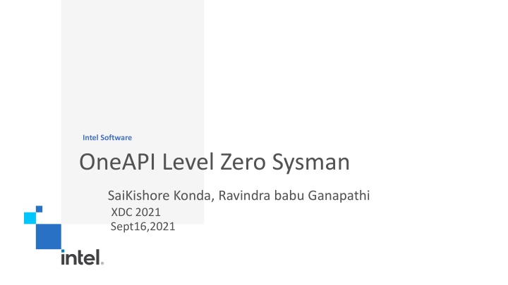 Intel Software OneAPI Level Zero Sysman Overview