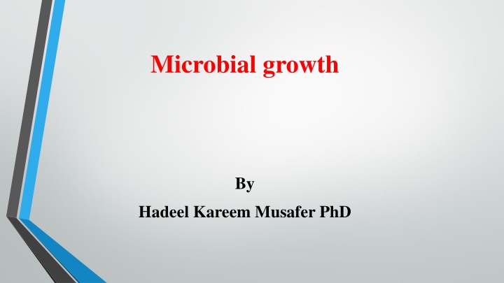 Microbial Growth Phases