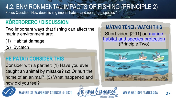 Environmental Impacts of Fishing: Habitat Damage and Bycatch