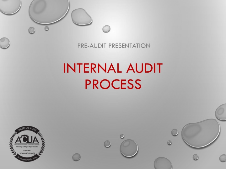 Internal Audit and Controls Process