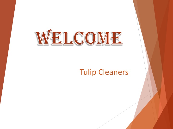 If you are looking for Professional Cleaner in White Oak