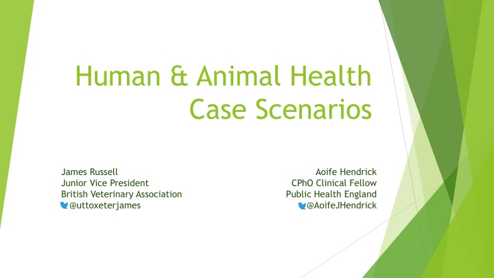 Antimicrobial Stewardship in Healthcare
