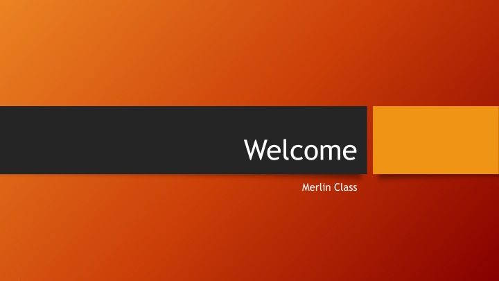 Welcome to Merlin Class - Teacher Insights and School Activities
