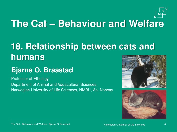 Relationship Between Cats and Humans: Insights from Research