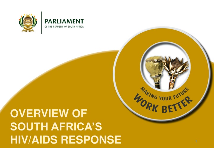 South Africa's HIV/AIDS Response and Performance Overview