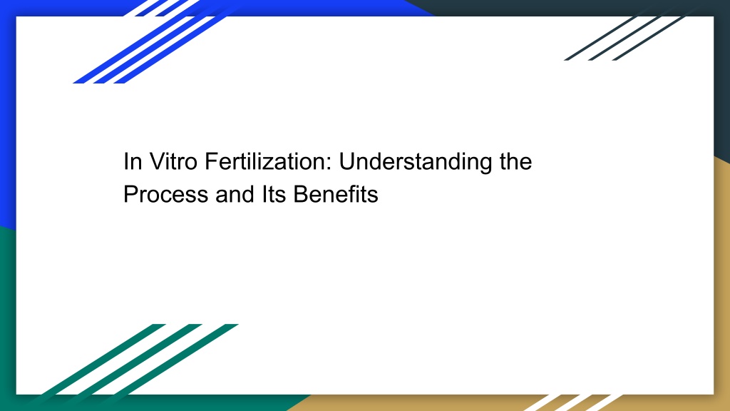 in vitro fertilization understanding the process l.w