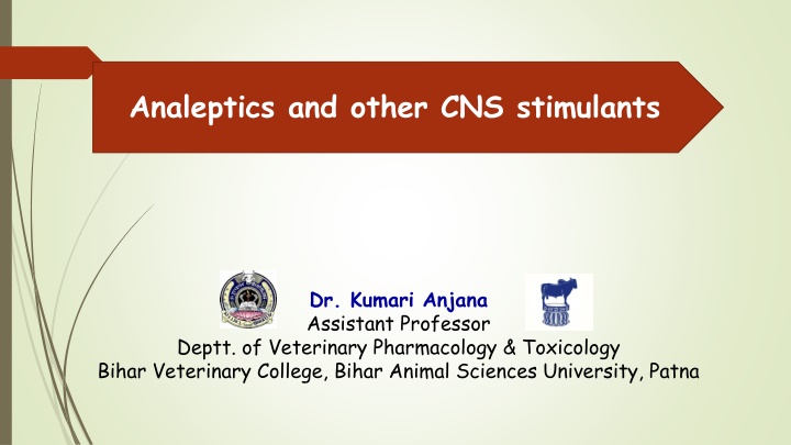 CNS Stimulants: An Overview