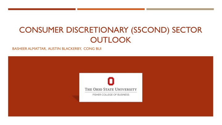 Consumer Discretionary Sector Outlook