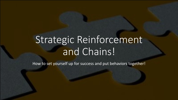 Strategies for Effective Reinforcement in Training
