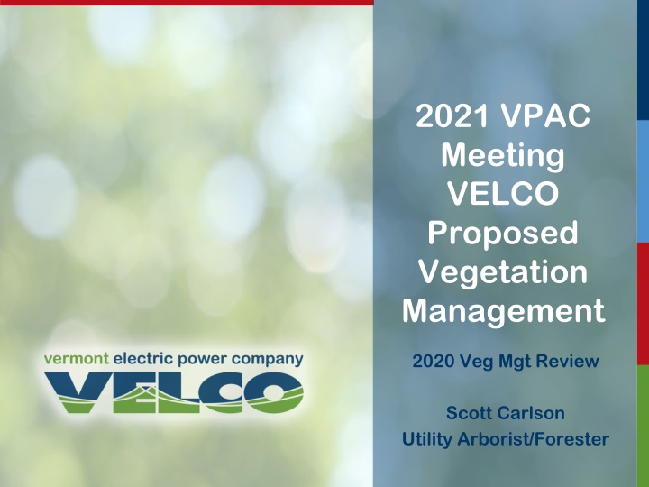 VELCO Vegetation Management Plan Overview 2021