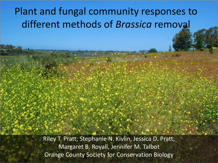 Impacts of Brassica Removal on Plant and Fungal Communities