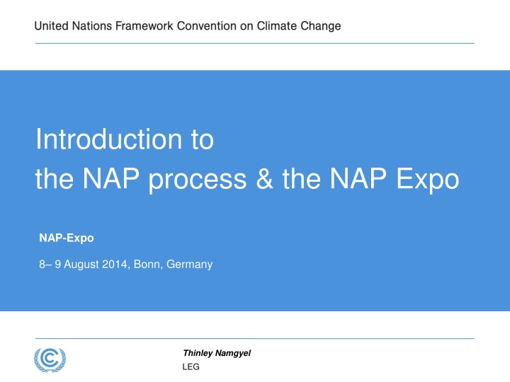 The National Adaptation Plan Process