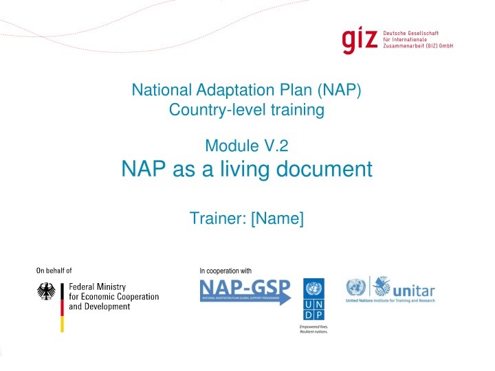 Insights into National Adaptation Plan (NAP) Revision and Adjustment Process