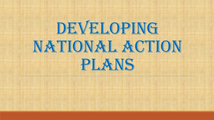 Developing National Action Plans for Sustainable Development