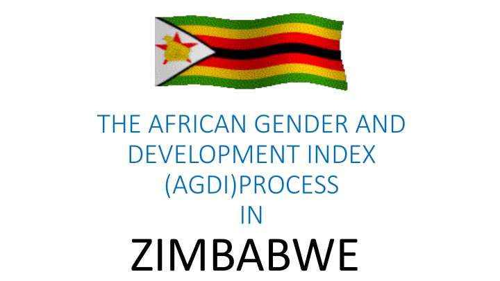 The African Gender and Development Index (AGDI) Process in Zimbabwe