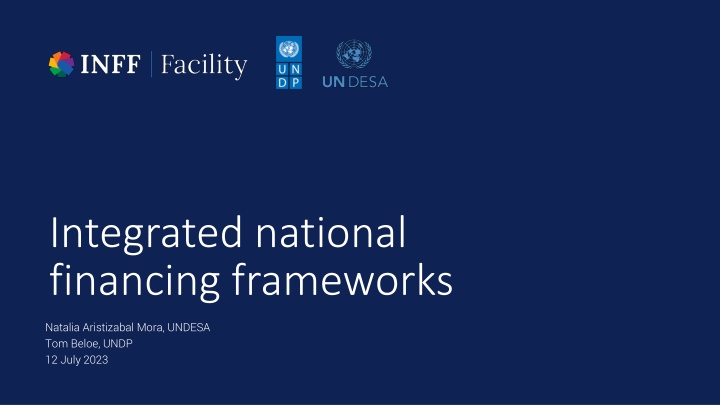 Integrated National Financing Frameworks: Overview and Adoption Benefits
