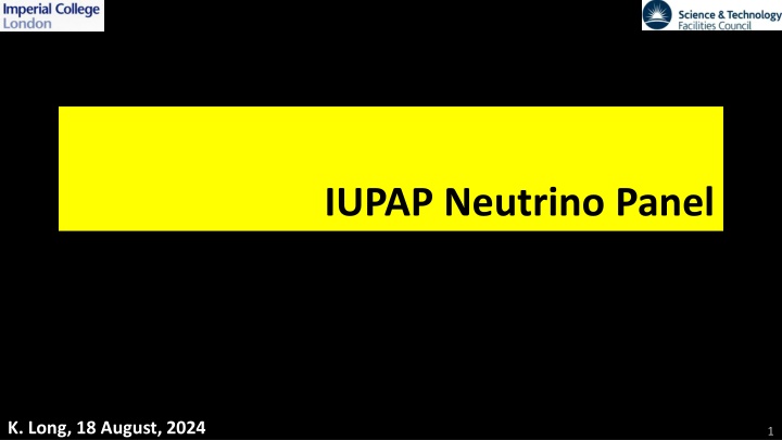Evolution of the ICFA Neutrino Panel: A Journey Towards International Collaboration