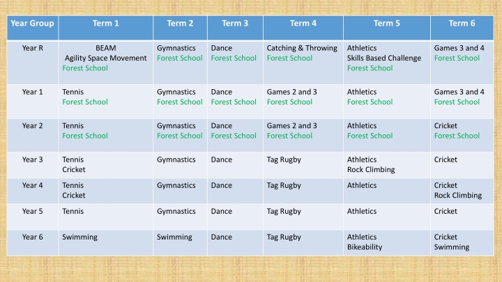 Physical Education Curriculum Overview for Various Year Groups