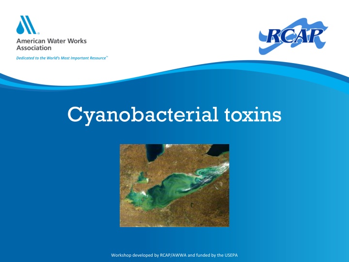 Cyanobacterial Toxins Workshop