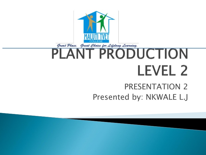 Comprehensive Guide to Vegetable Cultivation for Beginners