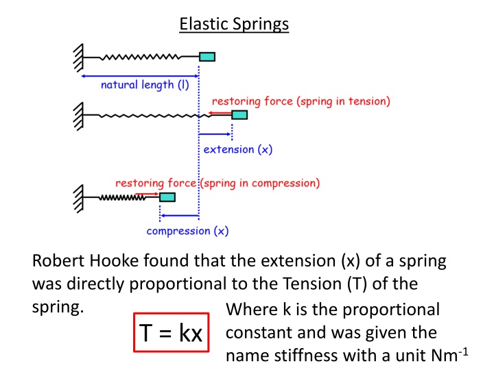 Hooke's Law for Elastic Springs