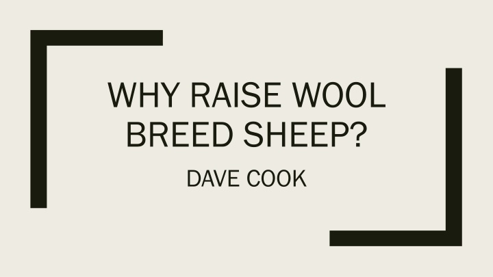 Raising Wool Breed Sheep: Why It Matters in Showing and Selling