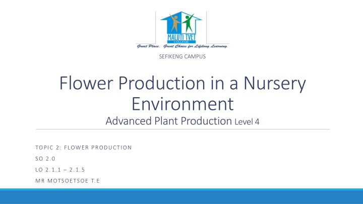 Advanced Flower Production Techniques in a Nursery Environment