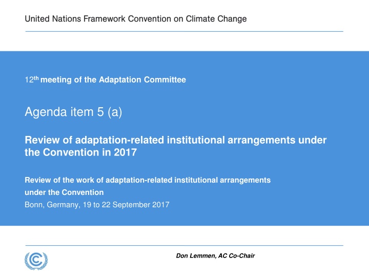 Review of Adaptation-Related Institutional Arrangements Under the Convention in 2017