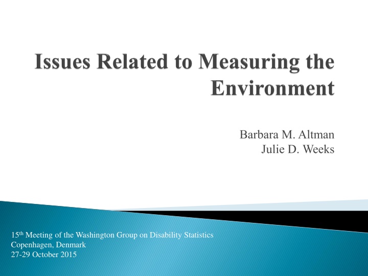Disability Measurement and Environmental Factors